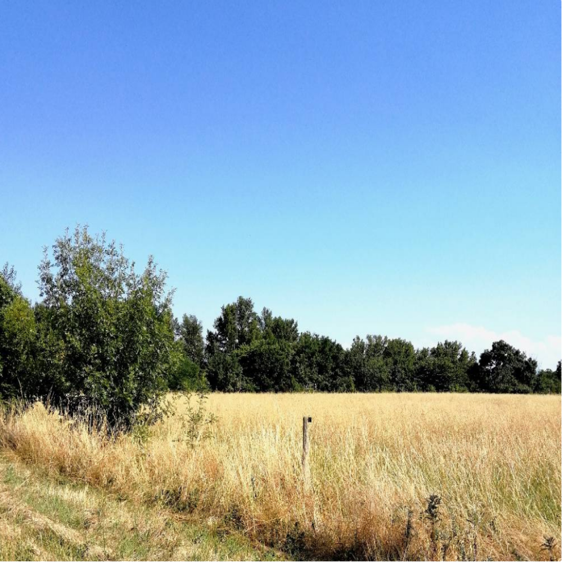 Vente Terrain De 500m2 St Hilaire vente-terrain-de-500m2-st-hilaire