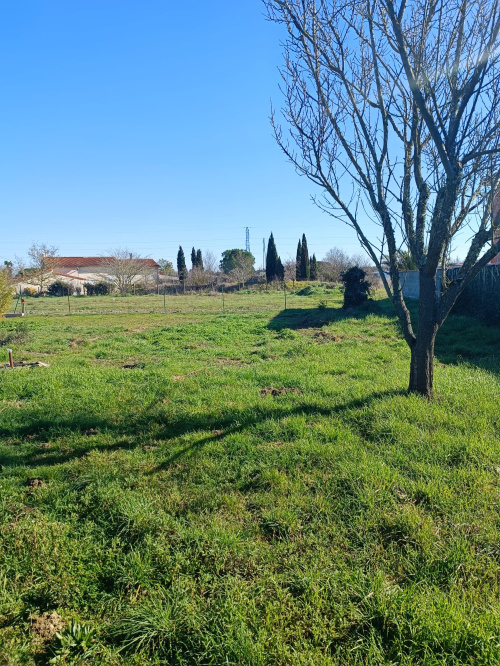 Vente | Intégral Immobilier | Agences immobilières à Cugnaux, Frouzins ...